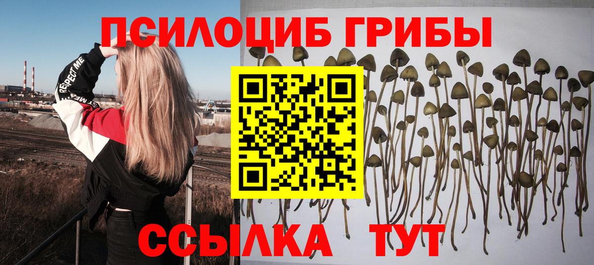 Псилоцибиновые грибы GOLDEN TEACHER  Псилоцибиновые грибы Psilocybine cubensis  Вход с VPN  Лесозаводск 