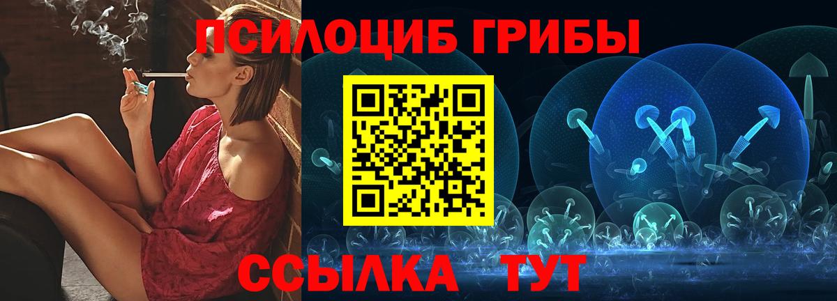Псилоцибиновые грибы GOLDEN TEACHER Лесозаводск
